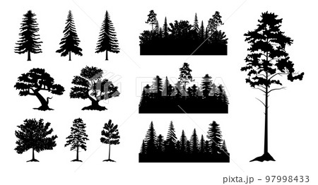 Forest wood black silhouettes, different trees. Pine or fir canopy, woodcut sketch, leaf and branch landscape scene. Spruce and coniferous natural woodland panorama. Vector outline garish illustration Forest wood black silhouettes, different trees. Pine or fir canopy, woodcut sketch, leaf and branch landscape scene. Spruce and coniferous natural woodland panorama. Vector outline garish illustration 97998433