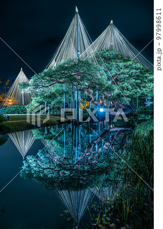 美しい雪吊のライトアップリフクレクション 美しい雪吊のライトアップリフクレクション 97998611