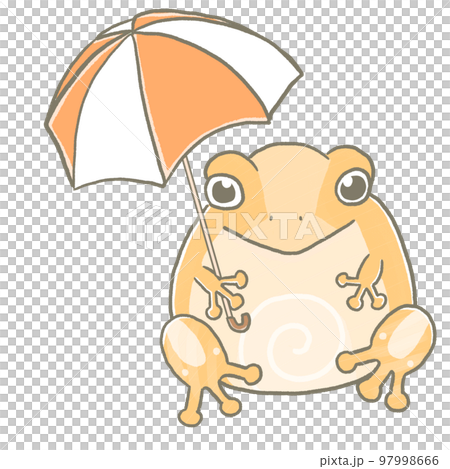 R: A more fairy tale aquarium RX ☆ A frog that seems to be around there ⑩ R: A more fairy tale aquarium RX ☆ A frog that seems to be around there ⑩ 97998666