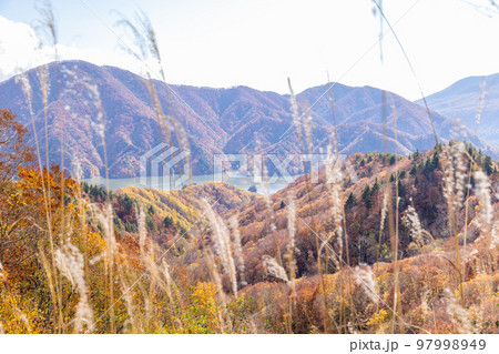 福島県 三湖パラダイス 福島県 三湖パラダイス 97998949