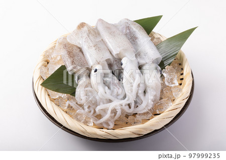 宮城県産 ヒイカ 宮城県産 ヒイカ 97999235