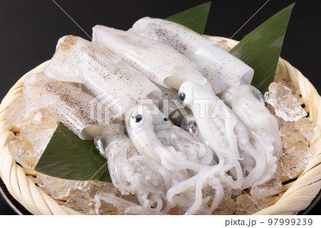 宮城県産　ヒイカ 97999239