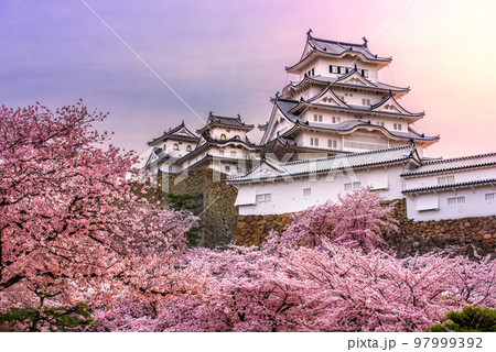 Himeji, Japan at Himeji Castle during Spring Cherry Blossom Season Himeji, Japan at Himeji Castle during Spring Cherry Blossom Season 97999392