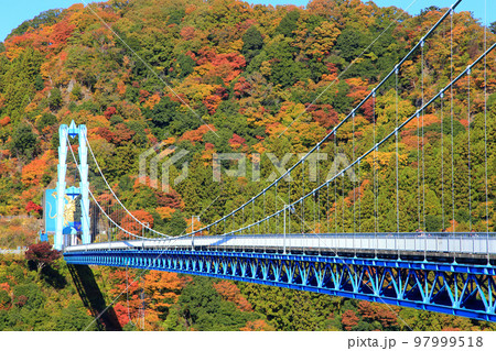 竜神大吊橋と美しい紅葉 竜神大吊橋と美しい紅葉 97999518