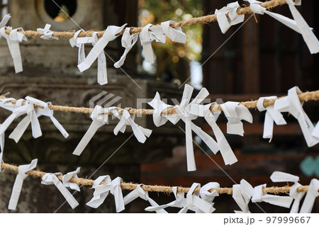 結ばれたおみくじ 97999667