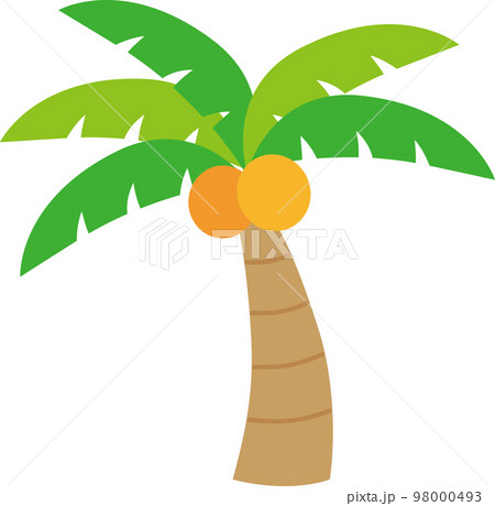 シンプルなヤシの木のイラスト 98000493