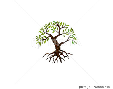 olive tree logo design 98000740