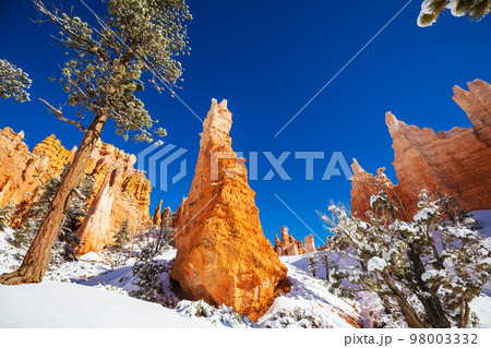 Winter Bryce 98003332