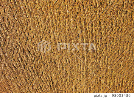 Sand texture 98003486