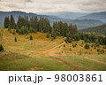Green meadow in mountains 98003861