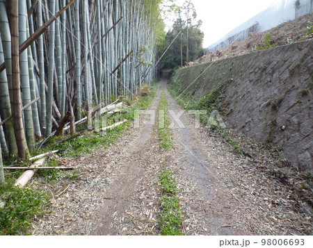 旧知多高校周辺景色 常滑市 旧知多高校周辺景色 常滑市 98006693