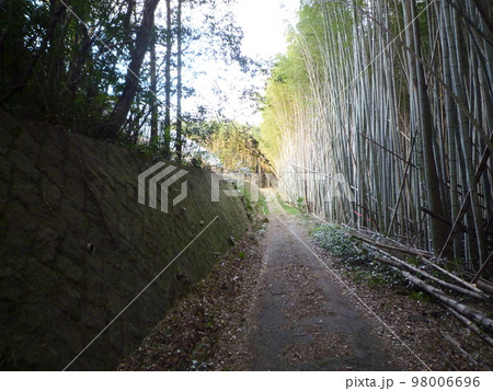 旧知多高校周辺景色 常滑市 旧知多高校周辺景色 常滑市 98006696