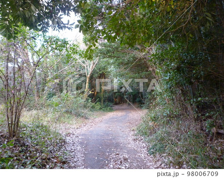 旧知多高校周辺の景色 98006709