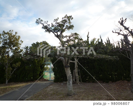 知多市　旭公園 98006807