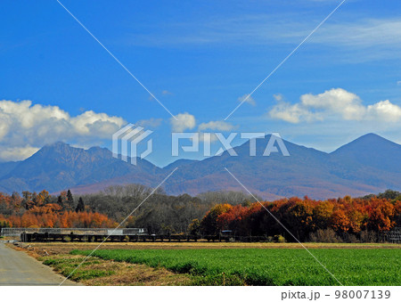 八ヶ岳遠望 八ヶ岳遠望 98007139