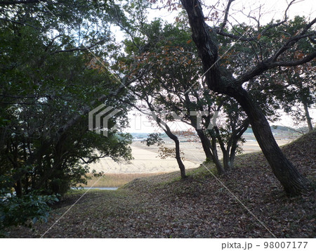 旭東公園　展望台　知多市 98007177