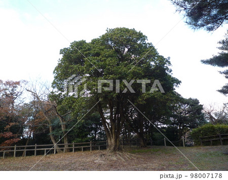 旭東公園　展望台　知多市 98007178