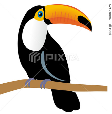 オニオオハシ 98007329