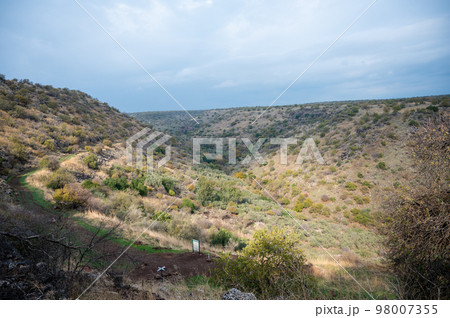 The Yehudiya Forest Reserve is a nature reserve in the central Golan Heights. 98007355