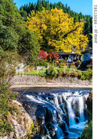 下城の大イチョウと鍋釜滝の紅葉 【熊本県阿蘇郡小国町】 下城の大イチョウと鍋釜滝の紅葉 【熊本県阿蘇郡小国町】 98007381