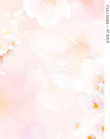 淡く美しい桜の背景 淡く美しい桜の背景 98007952