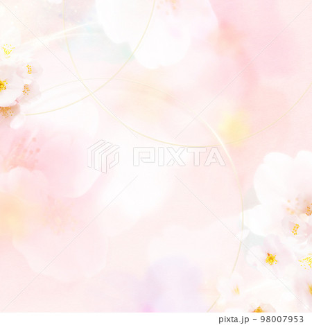 淡く美しい桜の背景 淡く美しい桜の背景 98007953