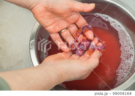 【イクラの醤油漬けを作るために、塩を入れたぬるま湯に生イクラを入れほぐす】 【イクラの醤油漬けを作るために、塩を入れたぬるま湯に生イクラを入れほぐす】 98008168