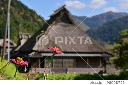 美山かやぶきの里 美山かやぶきの里 98008791