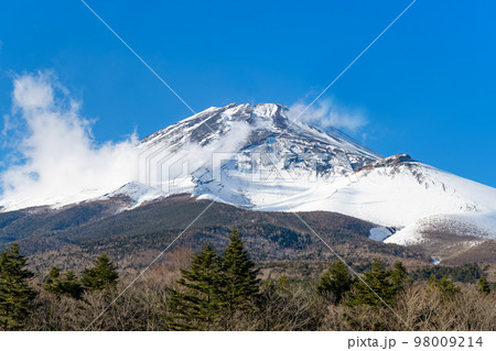 静岡県裾野市 水が塚公園から見た富士山 静岡県裾野市 水が塚公園から見た富士山 98009214