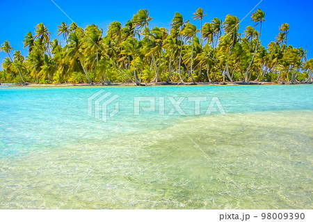 Bora Bora Tropical paradise, Idyllic turquoise beach in French Polynesia, Tahiti Bora Bora Tropical paradise, Idyllic turquoise beach in French Polynesia, Tahiti 98009390