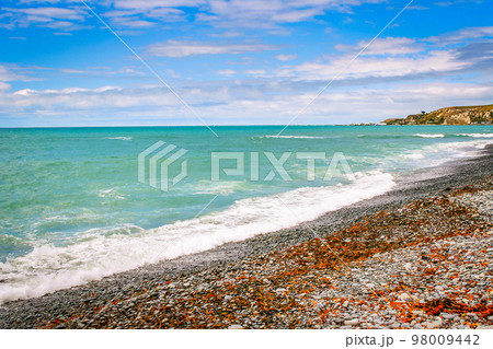 Kaikoura coastline in Canterbury, New Zealand south Island 98009442