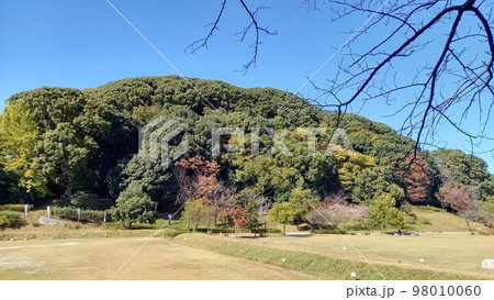 小牧山城 堀からの小牧山全景 小牧山城 堀からの小牧山全景 98010060