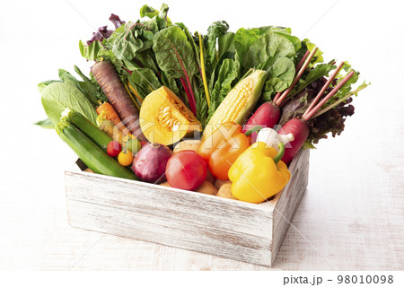 野菜の集合 98010098