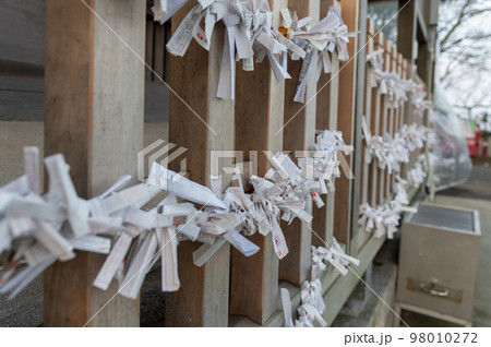 神社の境内に設置されているみくじ掛に結ばれたおみくじ 98010272