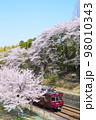 阪急電車　桜満開＆快晴　タテ構図 98010343