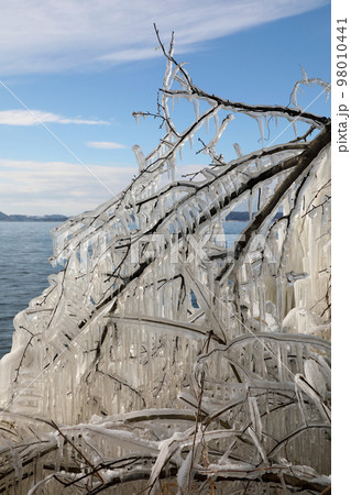 しぶき氷 猪苗代湖 98010441