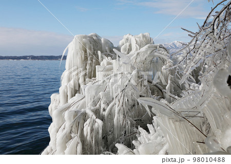 しぶき氷 猪苗代湖 98010488