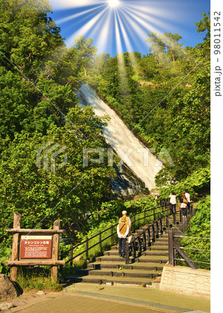 知床半島のオシンコシンの滝 98011542