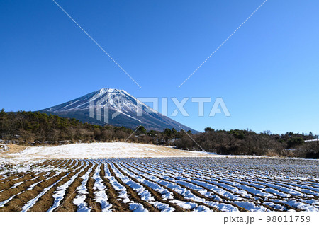 冬の晴れた空と富士ヶ嶺・富士山の絶景 冬の晴れた空と富士ヶ嶺・富士山の絶景 98011759