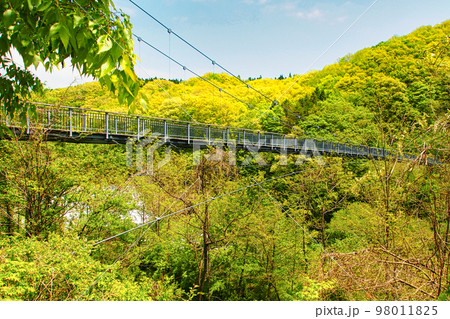 やまびこ吊橋（宮城県刈田郡七ヶ宿町） 98011825