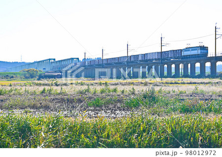 水郷の貨物列車 98012972