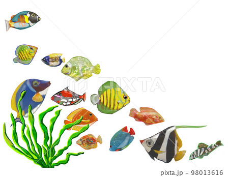 群れる海底の魚たち 98013616