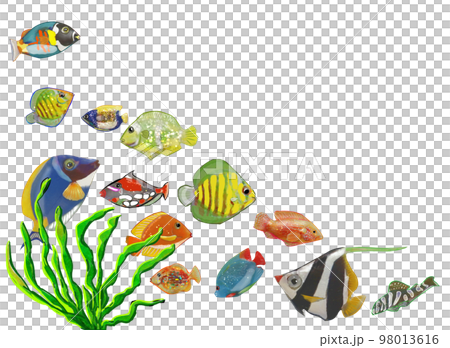 School of fish on the seabed 98013616