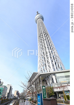 スカイツリーを見上げる風景 スカイツリーを見上げる風景 98014008