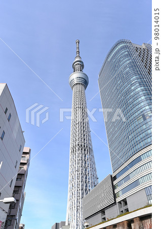 スカイツリーを見上げる風景 98014015