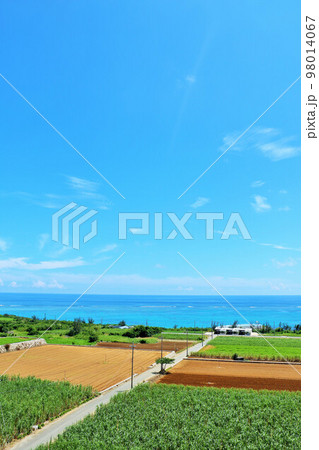 沖縄　夏の青空と宮古島の風景 98014067