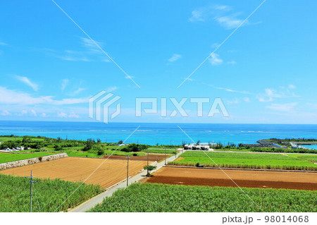 沖縄　夏の青空と宮古島の風景 98014068