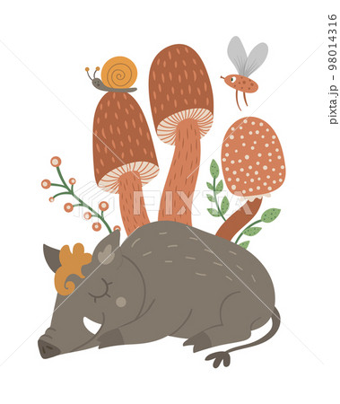 Vector hand drawn flat sleeping boar with mushrooms and insects. Funny woodland animal card template. Cute forest pig illustration for children design, print, stationery Vector hand drawn flat sleeping boar with mushrooms and insects. Funny woodland animal card template. Cute forest pig illustration for children design, print, stationery 98014316