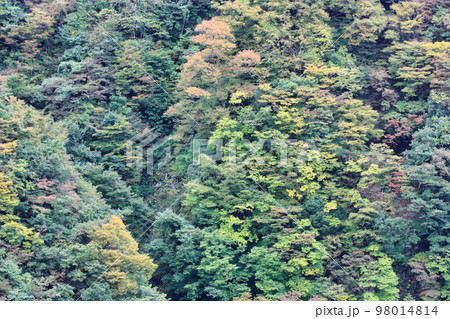 富山県立山町の里山の様子 富山県立山町の里山の様子 98014814