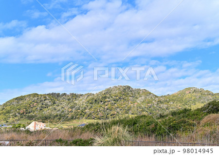 千葉県館山市伊戸の風景　房総半島 98014945
